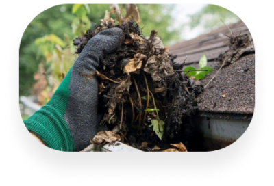 TX Gutter Expert - Twin Oaks